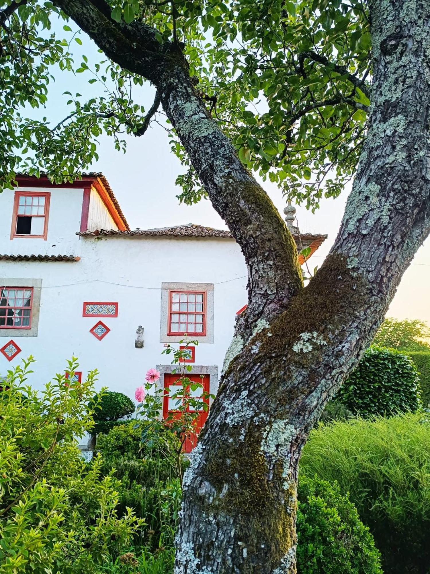 Quinta Da Mainha - Charming Houses Брага Экстерьер фото