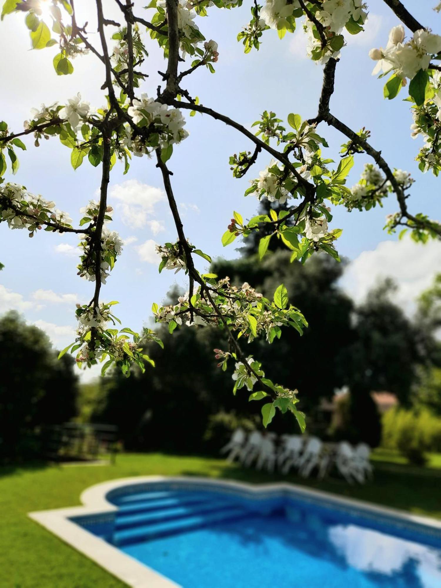 Quinta Da Mainha - Charming Houses Брага Экстерьер фото