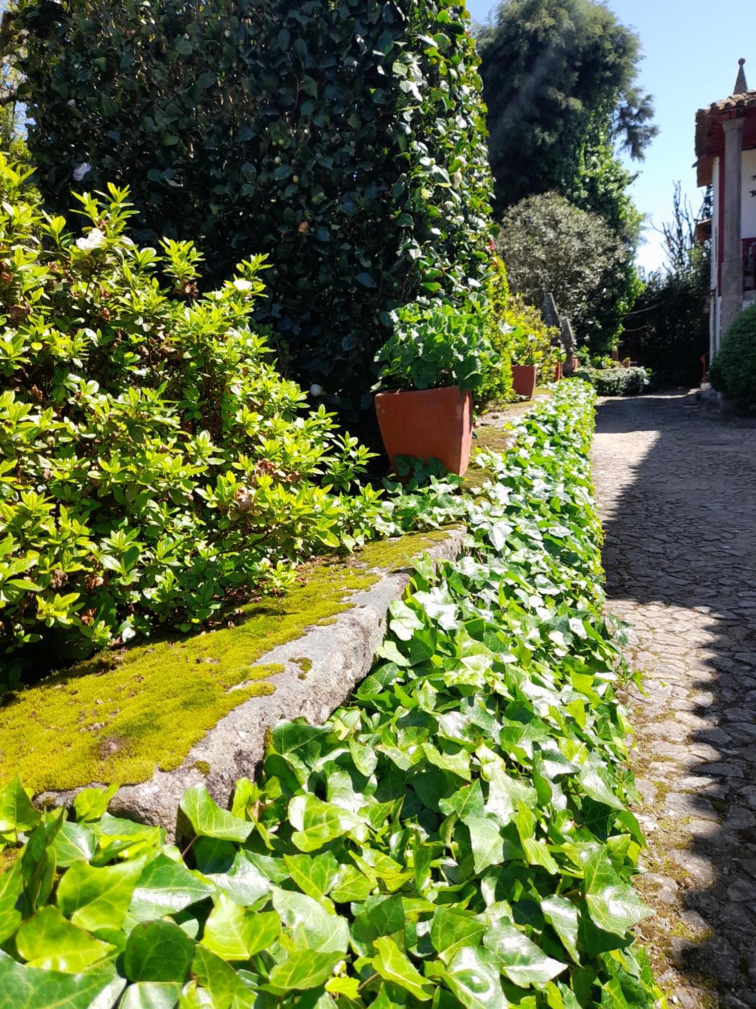 Quinta Da Mainha - Charming Houses Брага Экстерьер фото