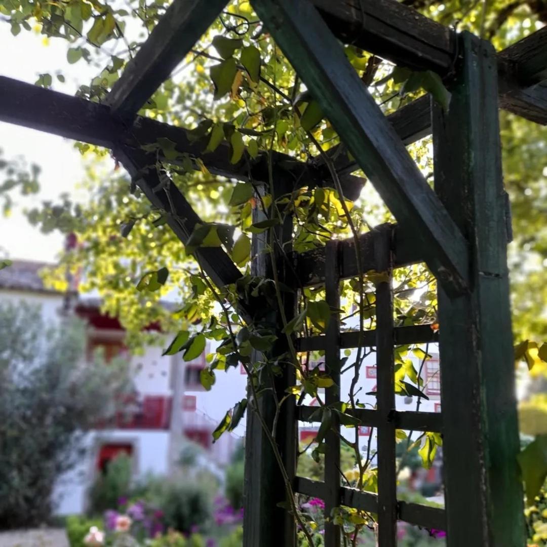 Quinta Da Mainha - Charming Houses Брага Экстерьер фото