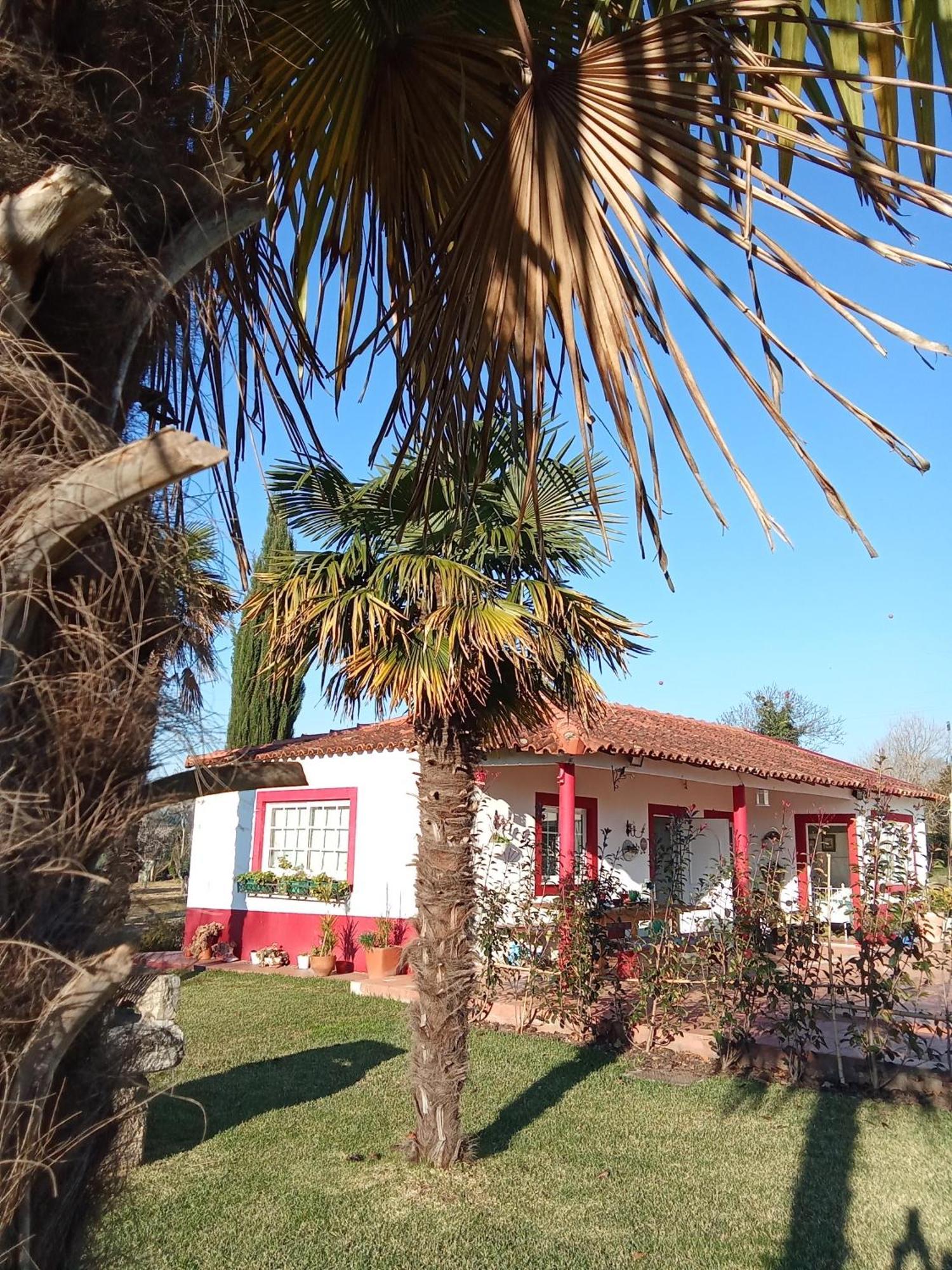 Quinta Da Mainha - Charming Houses Брага Экстерьер фото